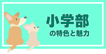 小学部の特色と魅力