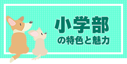 小学部の特色と魅力