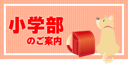 小学部ご案内ダウンロード